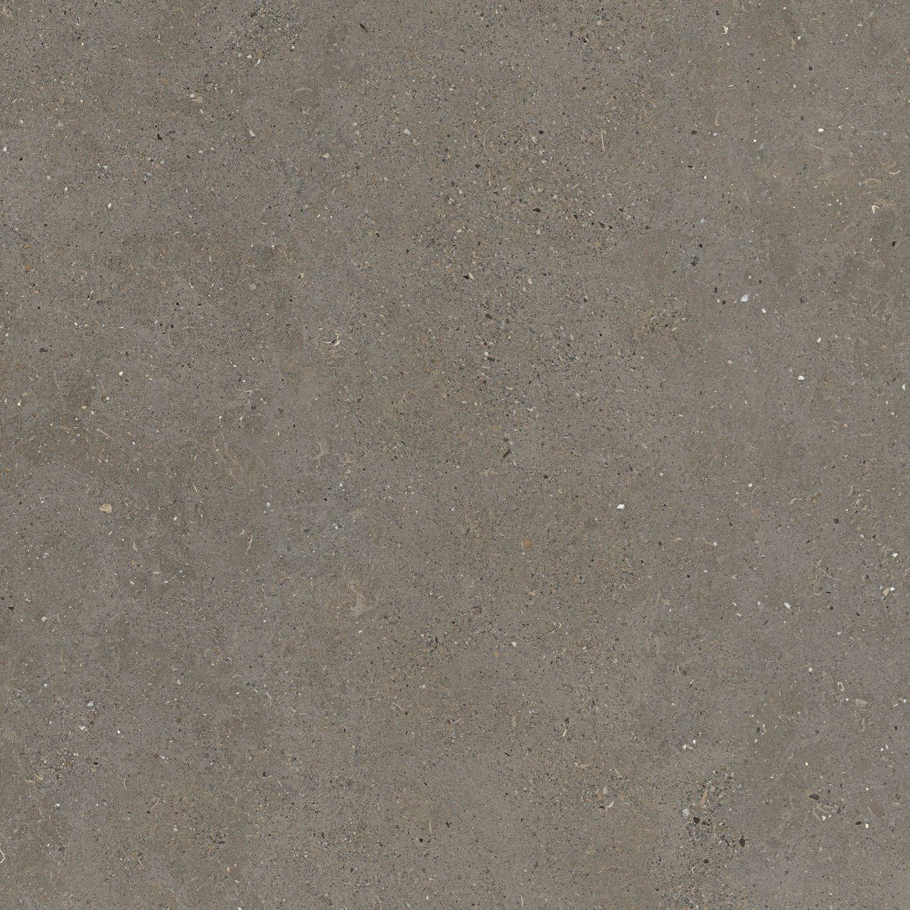 Пол / облицовка керамогранита с эффектом камня Fiandre сплошная ARCH-00087079 - Вид №19