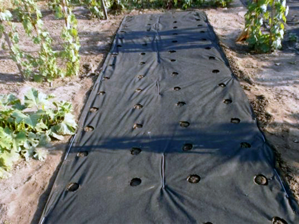 Геотекстиль 150 Строительный и садовый 1,6м x 25м ГеоПластБорд GPBST-108 - Вид №4