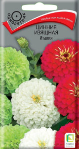 86218006 Семена цветов Поиск цинния изящная Италия STLM-0066954 Santreyd