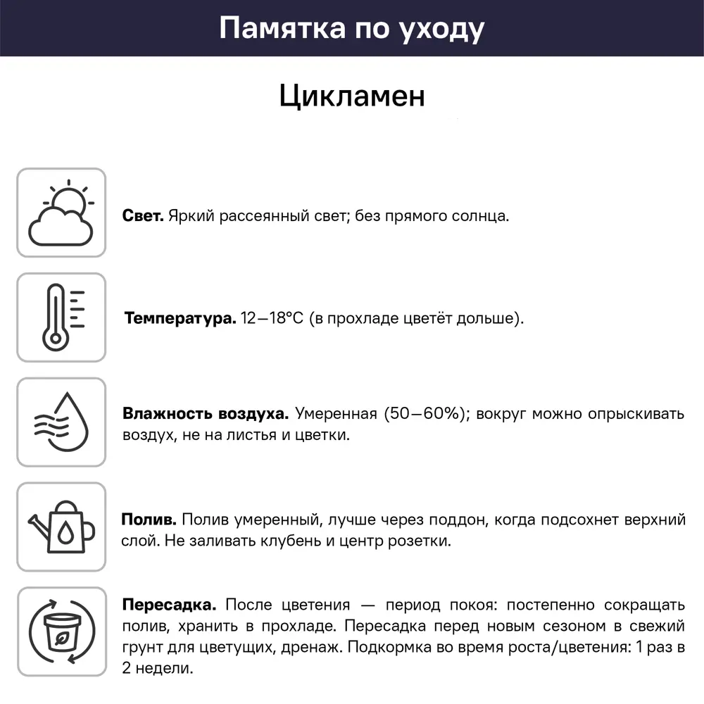 Цикламен микс ø12 h20 см 89455293 STLM-2089427 Santreyd  - Вид №1