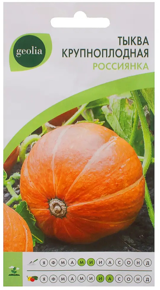17584874 Семена Тыква крупноплодная Geolia Россиянка STLM-0008331