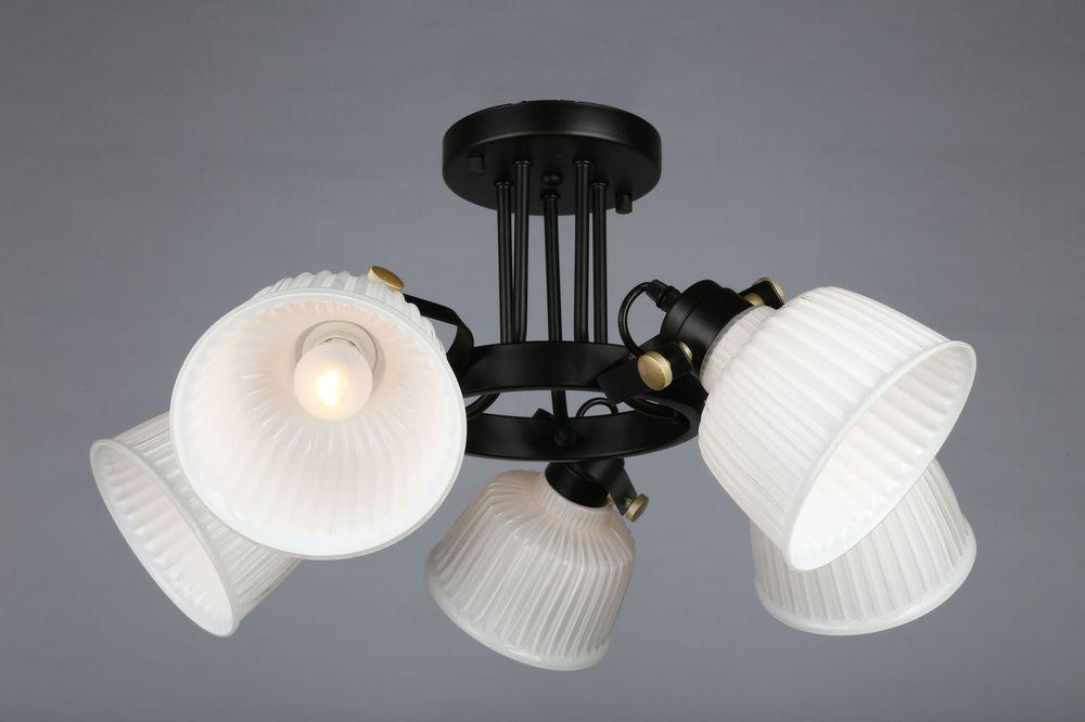 Потолочная люстра Omnilux OML-28207-05 OMNILUX OML-2820 183579 Белый  - Вид №2