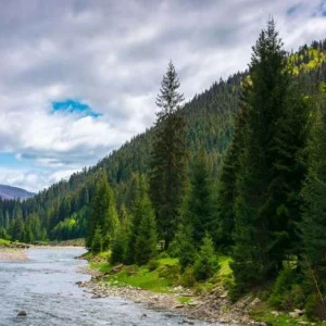 WP02668 Фотообои Verol Фотообои decoline 1х1 м