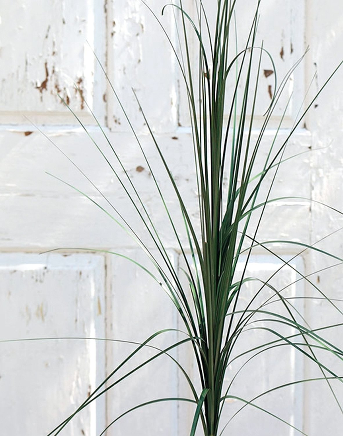 4851 888 a2 Искусственная китайская серебристая трава, 96 см, темно-зеленая H-andreas 