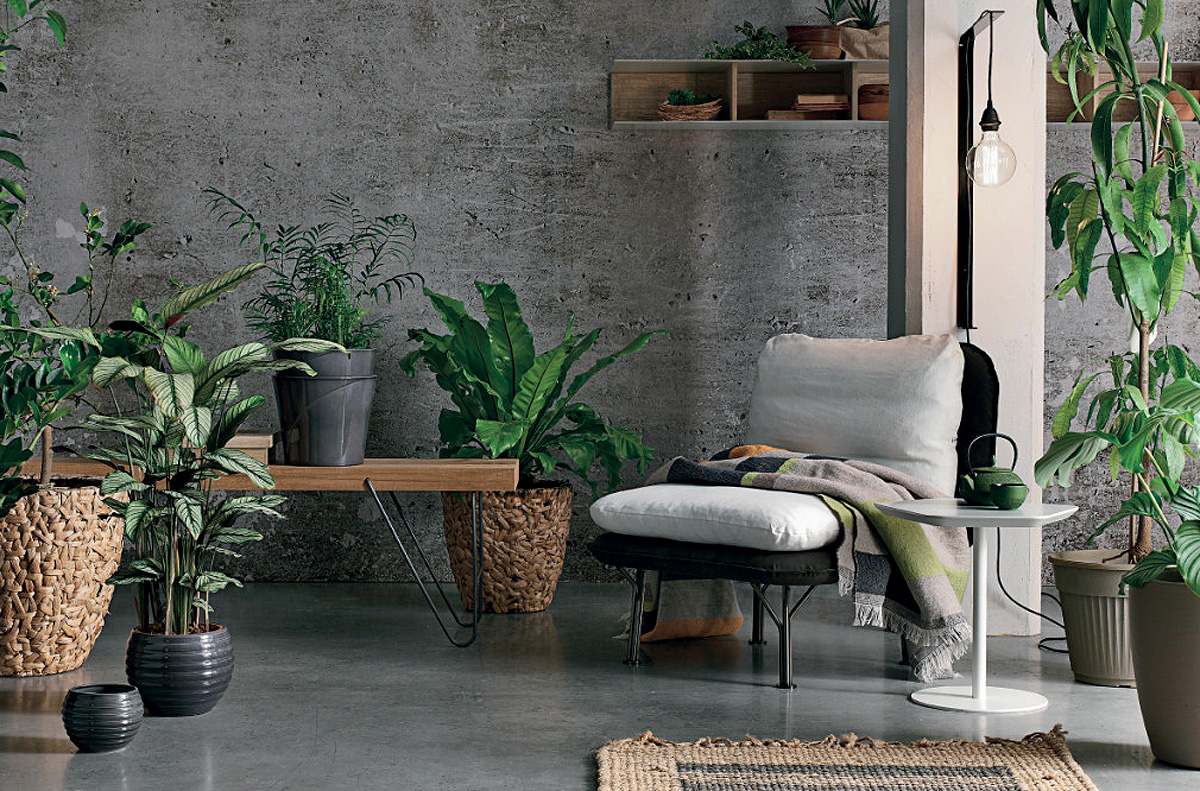 Кресло MAYA TOMASELLA 65958 + 65959 COMPLEMENTI - Вид №1