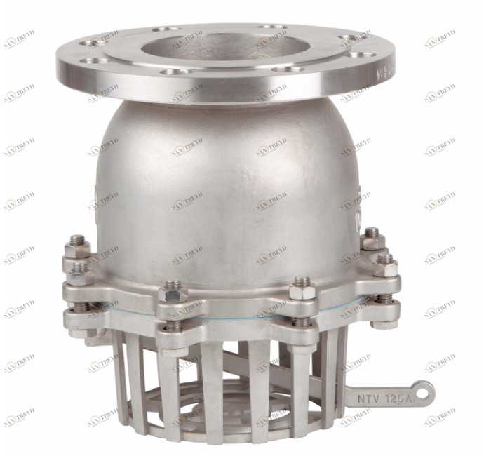 GENEBRE 2448 13 Обратный клапан с ножкой с фланцем DIN PN 16 