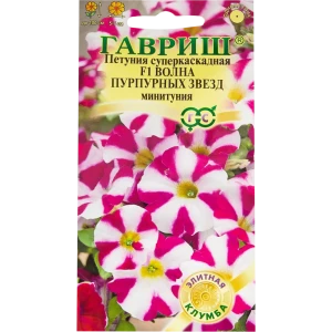 Петуния Волна Пурпурных звезд (Минитуния)
