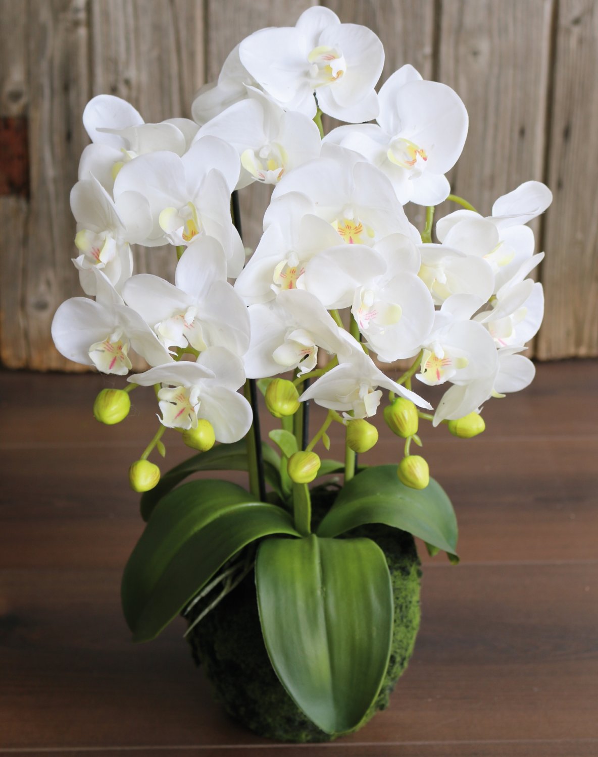 2862 777 a3 Пластиковая орхидея Phalaenopsis с 'почвой', 3-х кратная, 45 см, real touch, белая H-andreas  - Вид №1