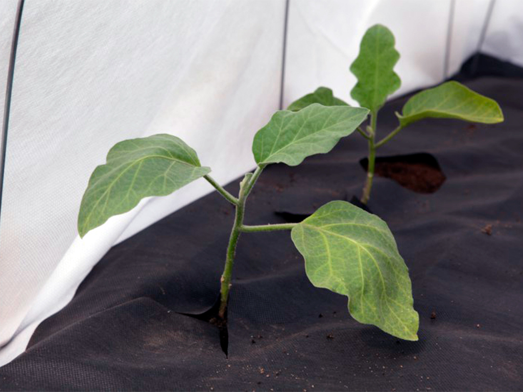 Геотекстиль 100 Строительный и садовый 1,6м ГеоПластБорд GPBST-106 - Вид №5