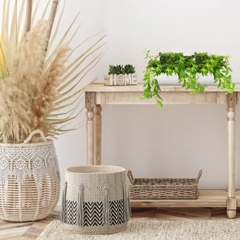 Santreyd Колумнея - ампельное растение с огненными цветами в кашпо 16 см 82649975 STLM-1544483 - Вид №3