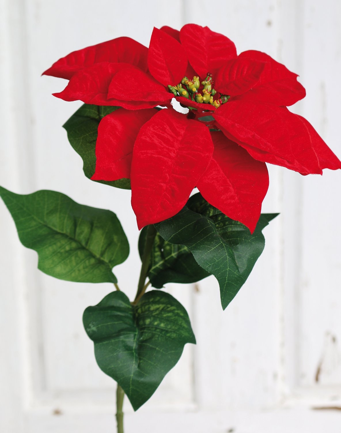1896 444 a3 Искусственная пуансеттия, 70 см, Ø 21 см, красная H-andreas 