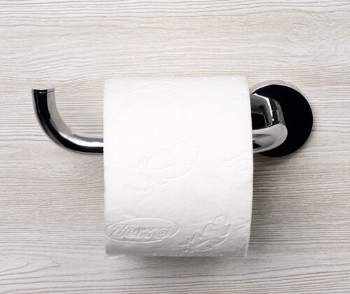 Rhein K-6296 Держатель туалетной бумаги Santreyd  - Вид №1