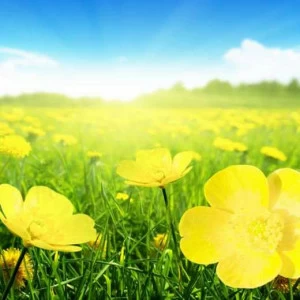 WP02519 Фотообои Verol Фотообои decoline 1х1 м