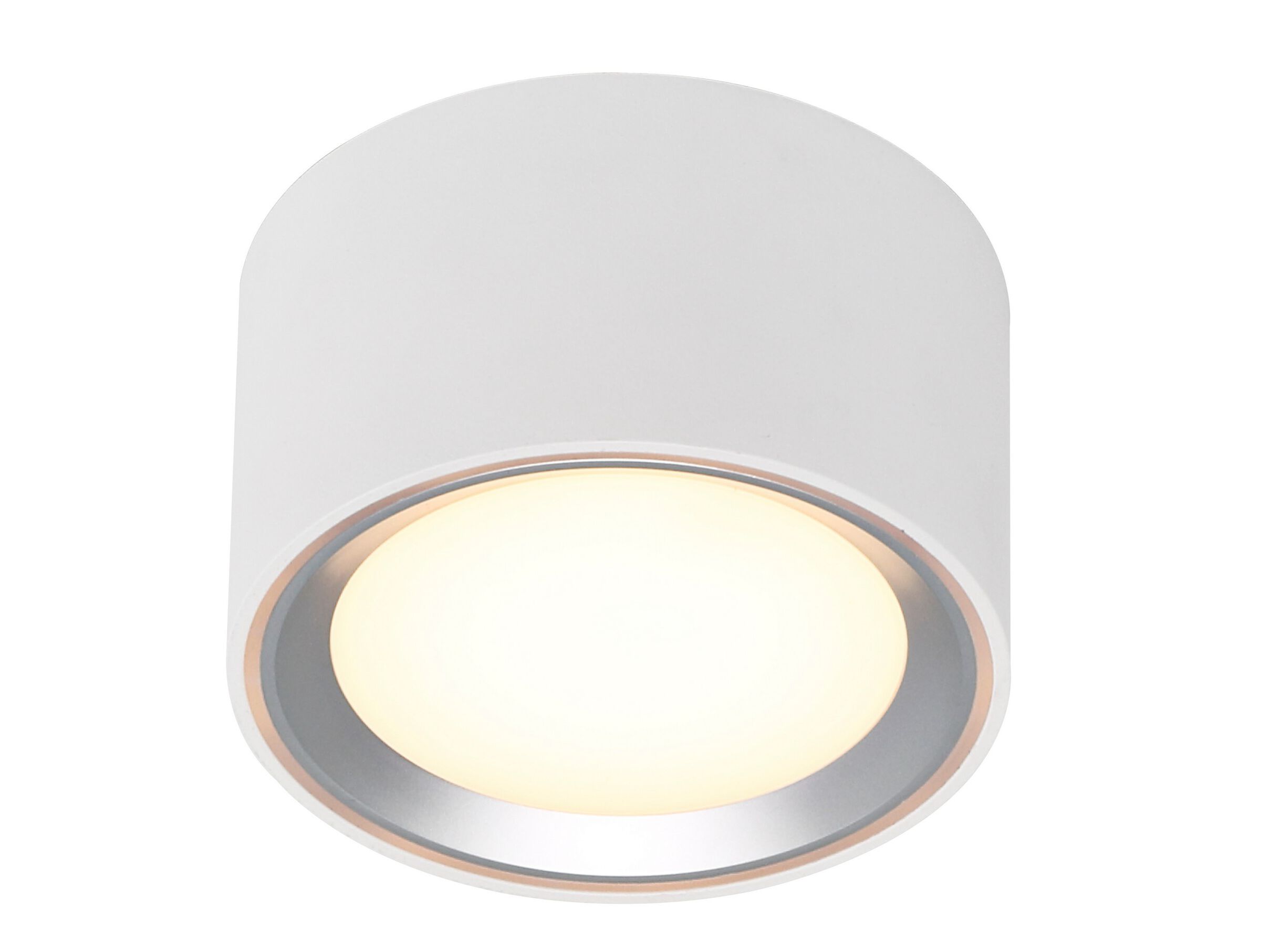 Круглый металлический потолочный светильник Nordlux FALLON ARCH-00098708