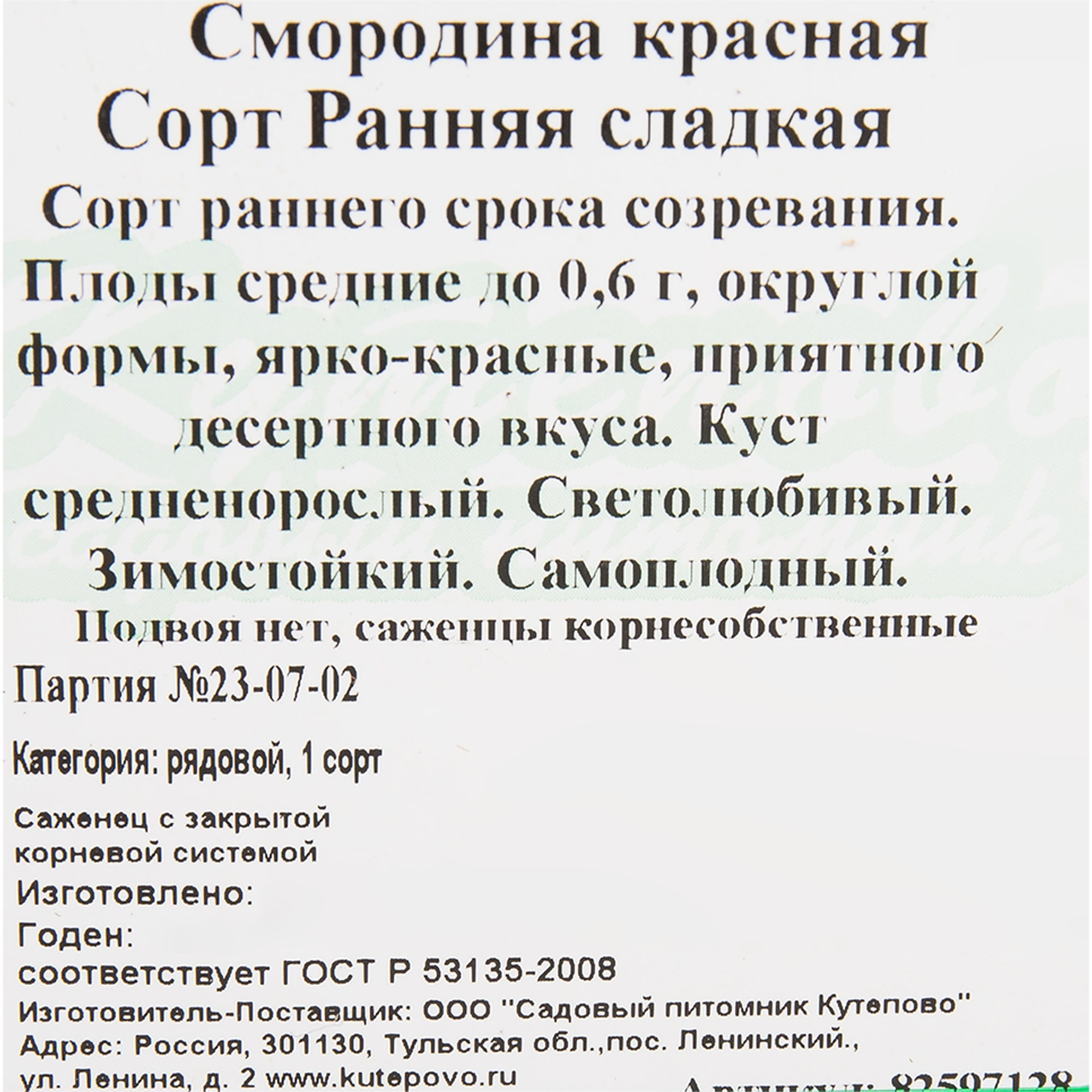 82597128 Смородина красная «Ранняя сладкая» C2 высота 40 см Santreyd  - Вид №1