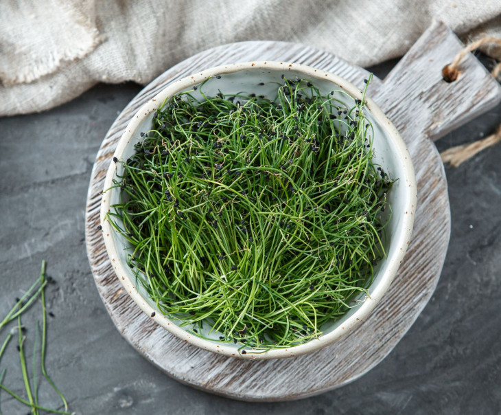 4758 Микрозелень лук "Порей" Вкусляндия 