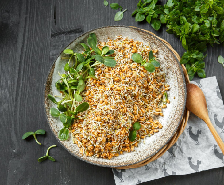 9717 Проростки Пшеницы с проростками Клевера Вкусляндия  - Вид №1