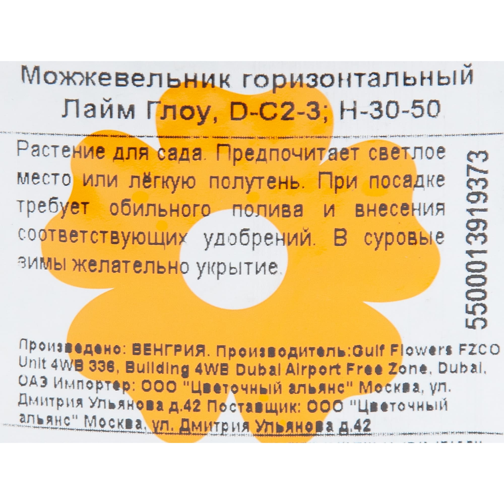 82601617 Можжевельник «Лайм Глоу» 17x40 см Santreyd  - Вид №1