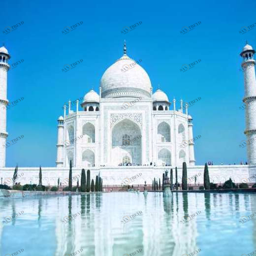 WP01589 Фотообои Verol Фотообои decoline 1х1 м