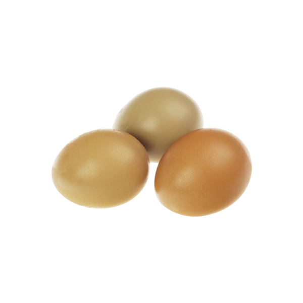 Яйцо фазана Santreyd 18926 - Вид №1