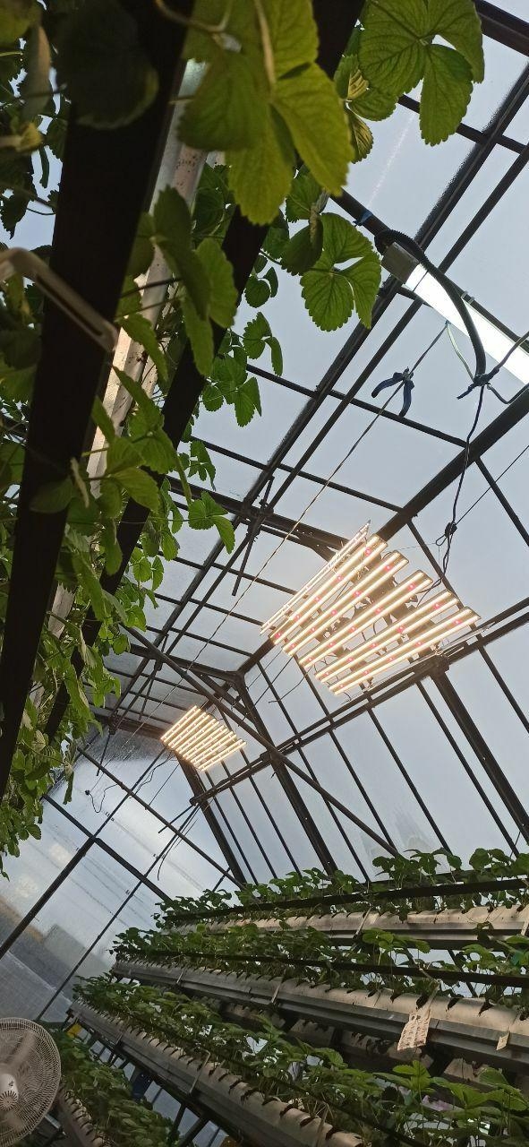 3553 Комплект Quantum line 115 см LAB.Space  - Вид №5