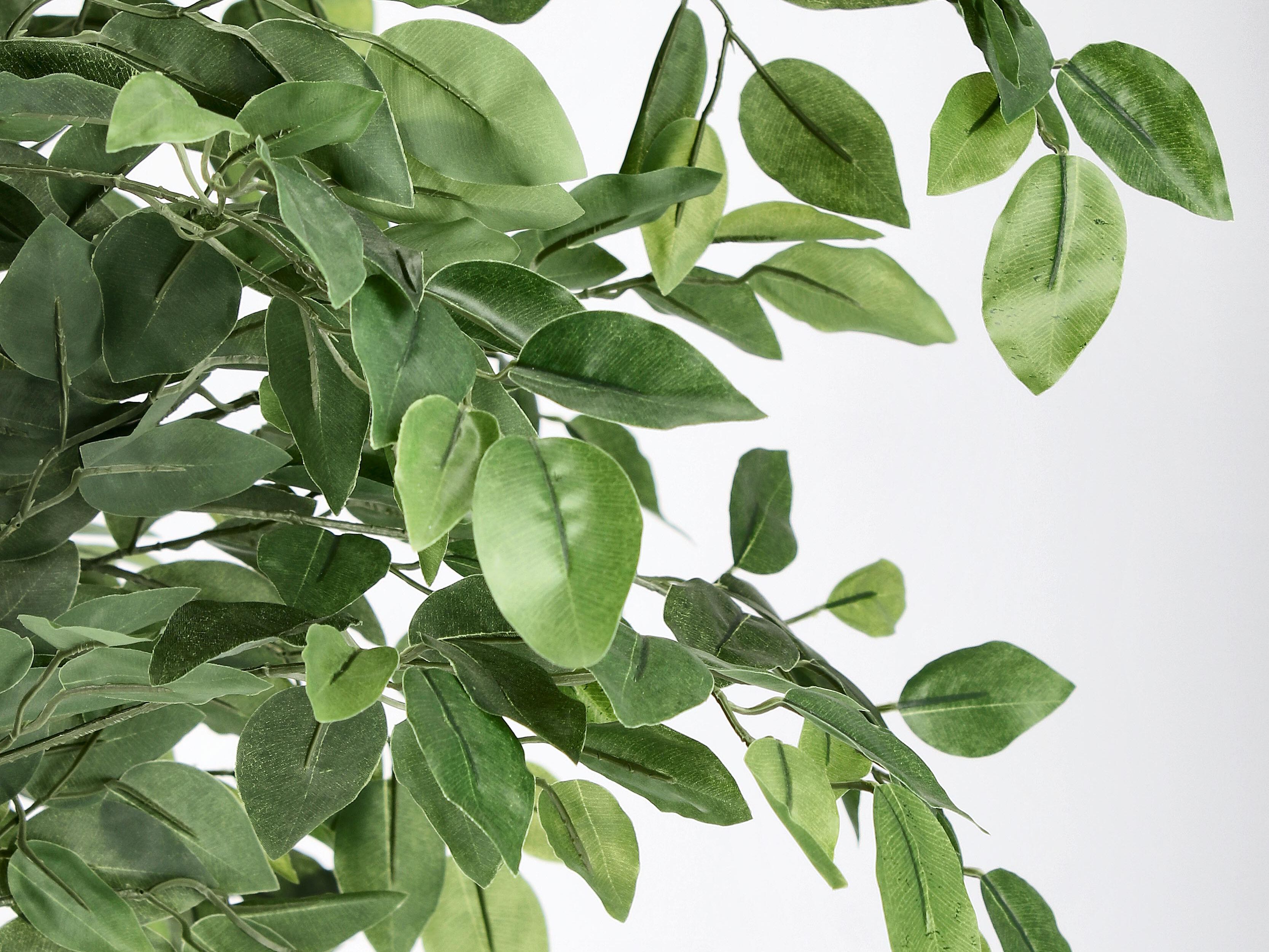 Искусственное растение BIZZOTTO FICUS ARCH-00104478