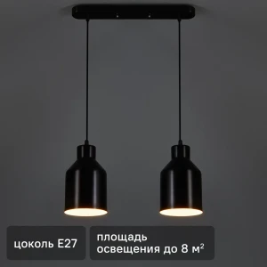 Светильник подвесной 21 Век-свет 1119/2 220-240В черный 85116270 STLM-2211699