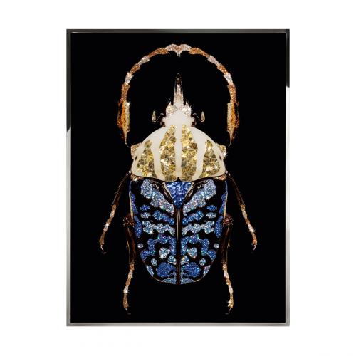 Coleottero Смешанная техника Visionnaire 