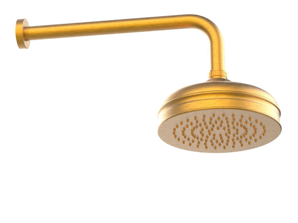 Круглая душевая головка из нержавеющей стали с кронштейном Rubinetterie Frattini душевые кабины ARCH-00022350 - Вид №6