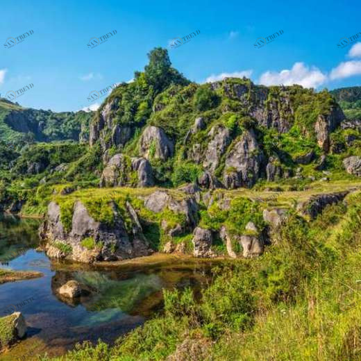 WP02156 Фотообои Verol Фотообои decoline 1х1 м