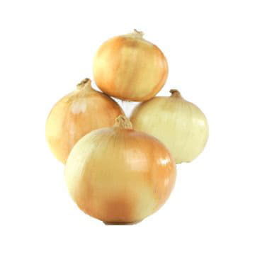 Лук репчатый Santreyd 2116 - Вид №1