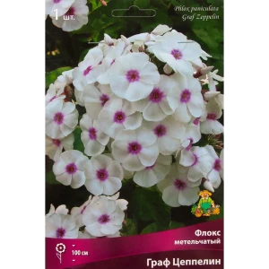 88294963 Флокс метельчатый Граф цеппелин луковица I STLM-1395551