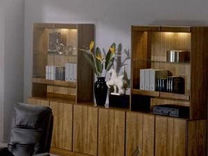 Dyrlund Офисный книжный шкаф из дерева и стекла Commodore 8907