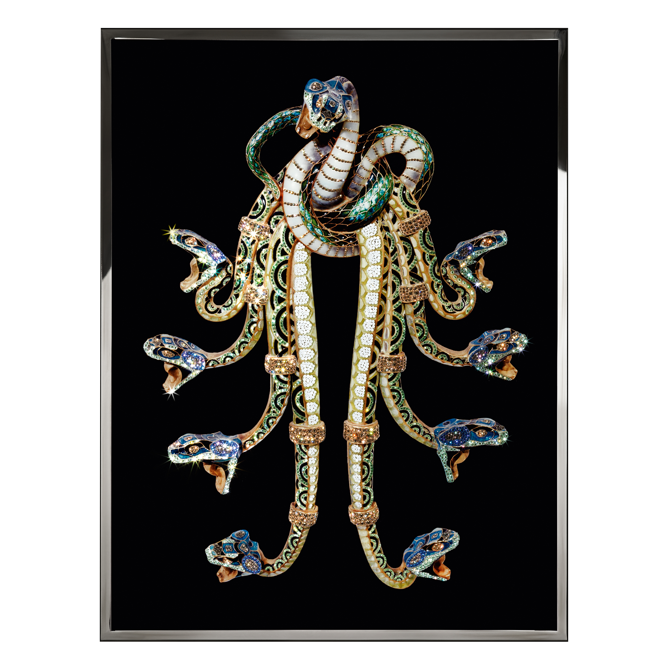 Hydra Смешанная техника Visionnaire  - Вид №1