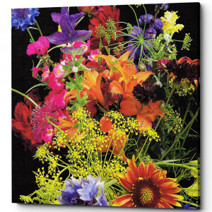 896520109_2728 Картина «Coral Orange» (холст, галерейная натяжка) Object Desire