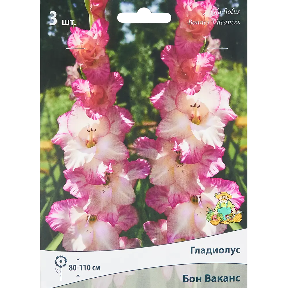 Гладиолус крупноцветковый Бон Ваканс, 3 шт ПОИСК STLM-2176928