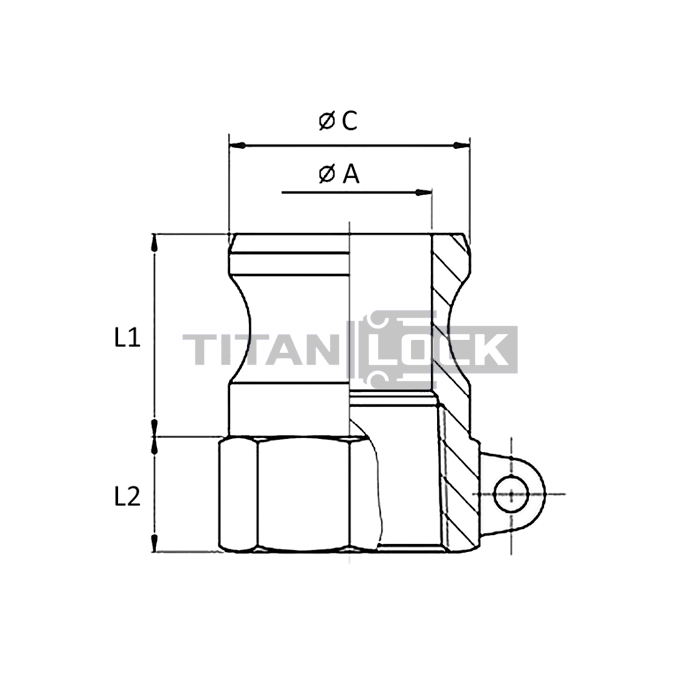 Камлок полипропиленовый тип A ниппель, внутр. резьба BSP 1/2", TL50APP TITAN LOCK  - Вид №1