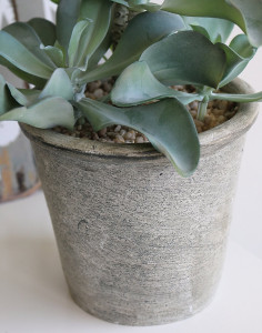 6047 883 a3 Искусственный суккулент, горшок, 38 см, зеленый H-andreas