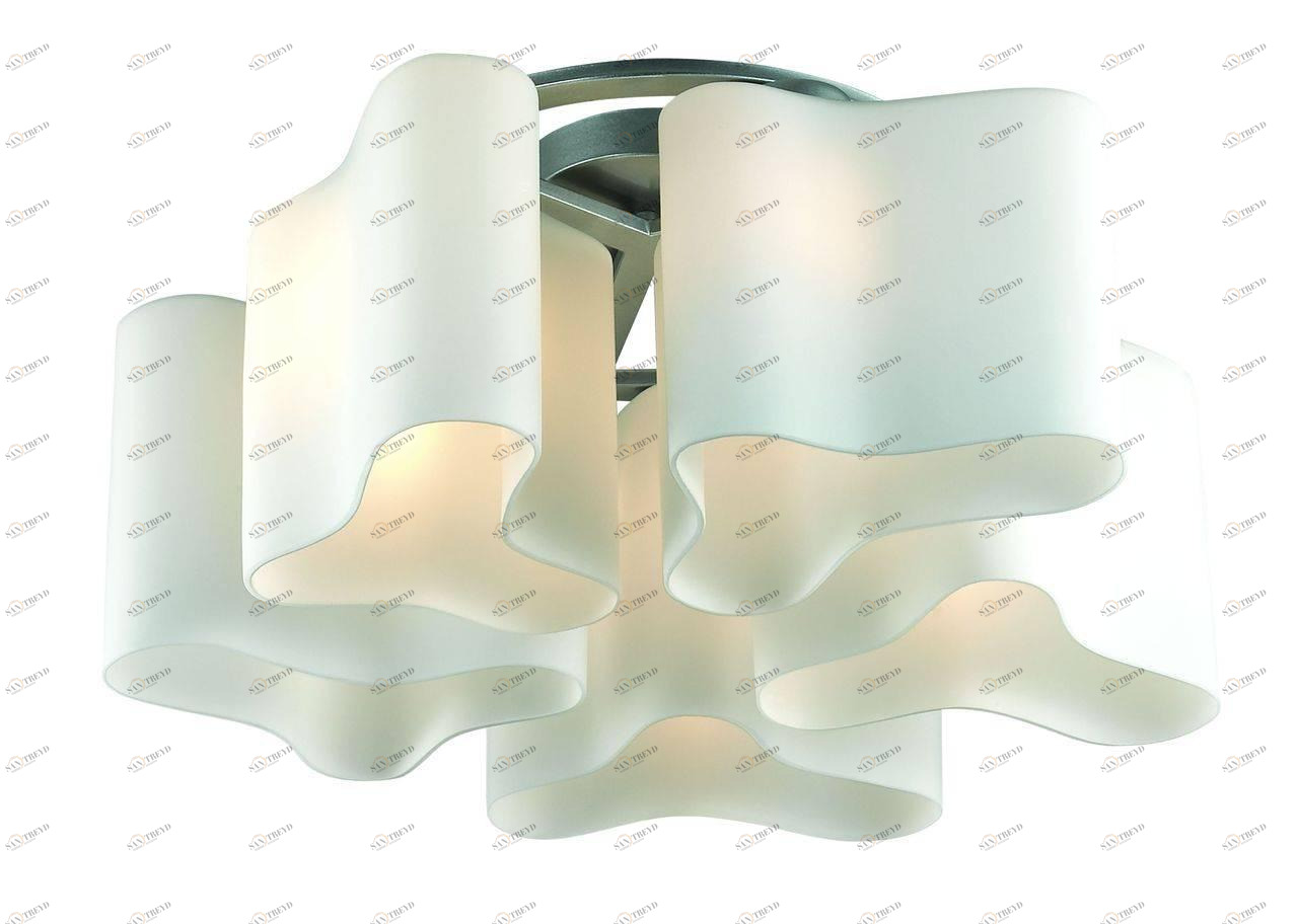 Потолочная люстра ST Luce Onde 2 SL118.502.05 ST LUCE ДИЗАЙНЕРСКИЕ, ONDE 058408 Белый 