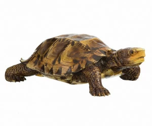 Статуэтка коричневая "Черепаха" TO4ROOMS  00-3838441 Коричневый