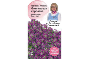 19491564 Семена Лобулярия (алиссум) Фиолетовая королева 0.1 г 119035 ОКТЯБРИНА ГАНИЧКИНА