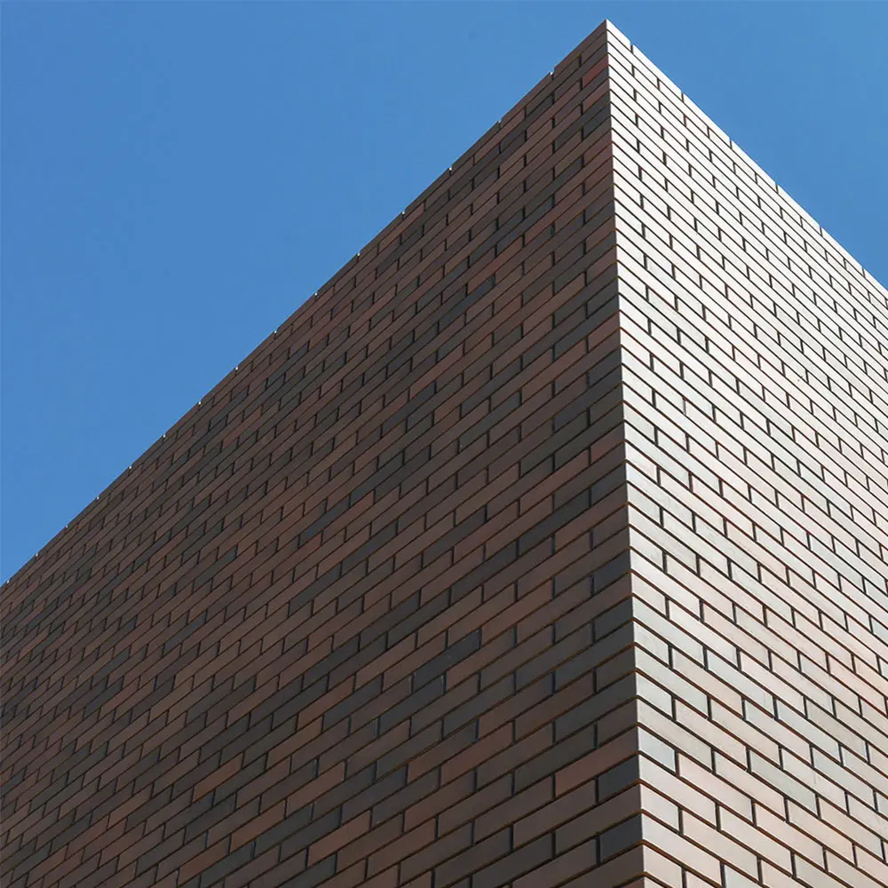 BRAER Баварская кладка — облицовочный кирпич с плавными переходами цвета 82001766 STLM-0016930 - Вид №4