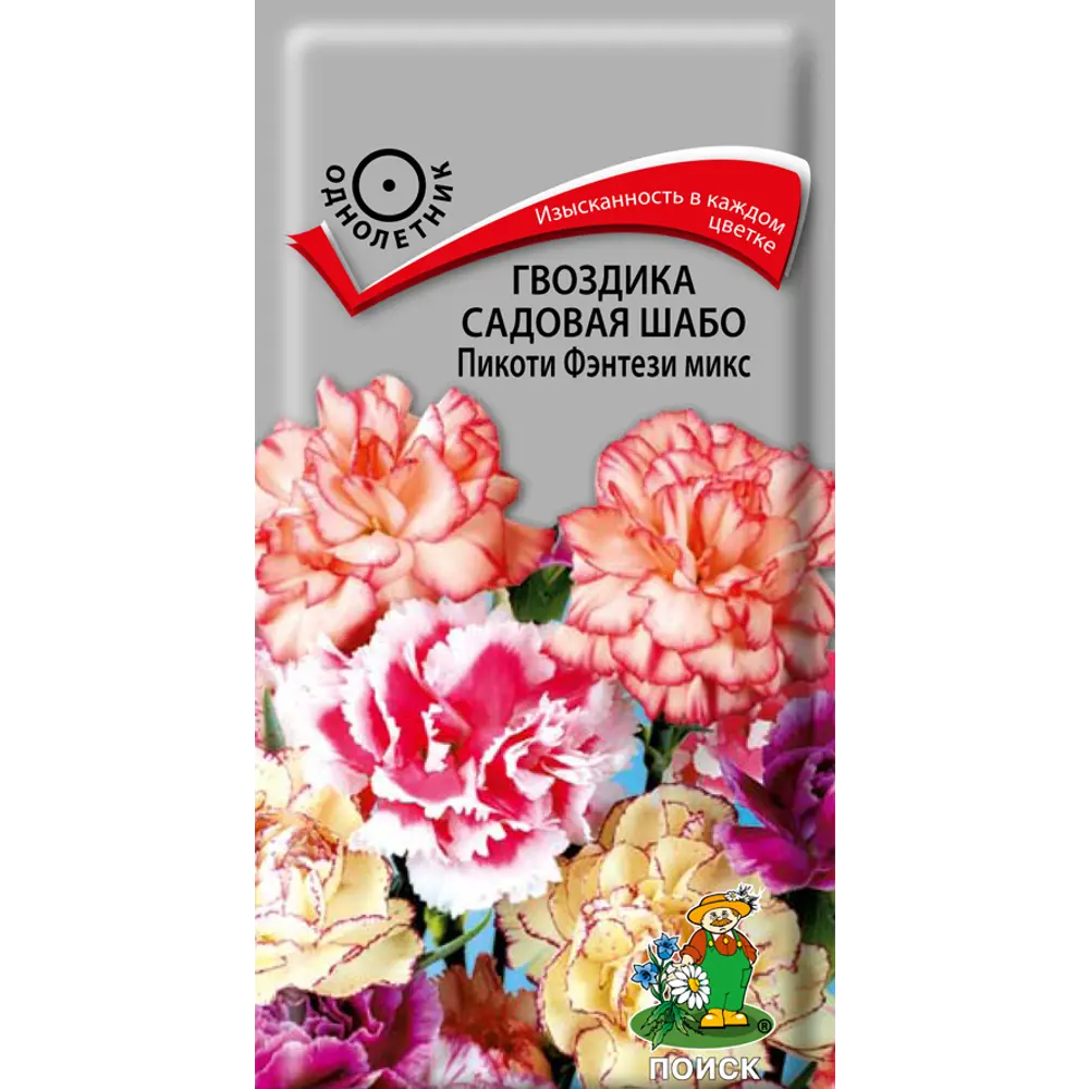 Поиск Гвоздика Шабо Пикоти Фэнтези микс - семена для яркого цветника 86217927 STLM-1565585