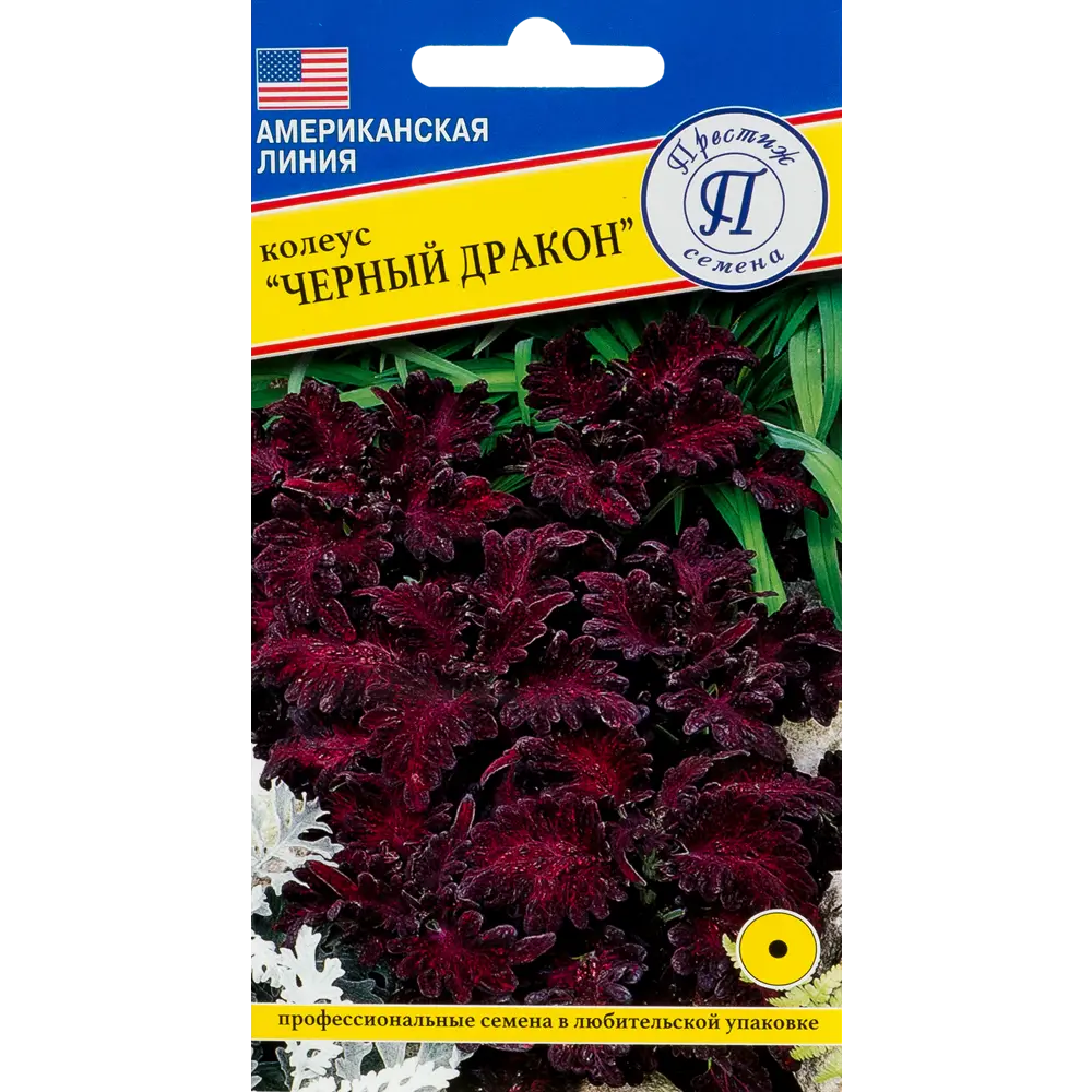 Колеус «Чёрный дракон» F1 ПРЕСТИЖ СЕМЕНА STLM-2114335