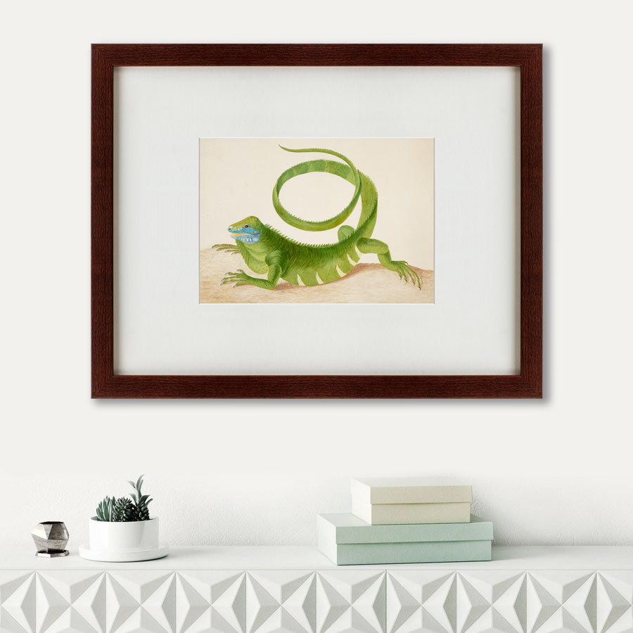 Картина: Green Iguana, 1701 КАРТИНЫ В КВАРТИРУ  135651 Разноцветный  - Вид №1