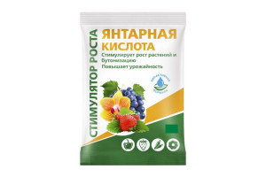 16636214 Янтарная кислота 4 г УП000002184 БиоМастер