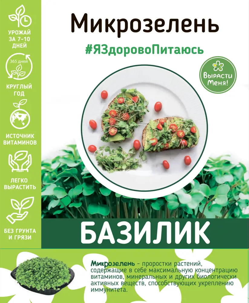 83562752 Набор для выращивания микрозелени базилика STLM-0955601