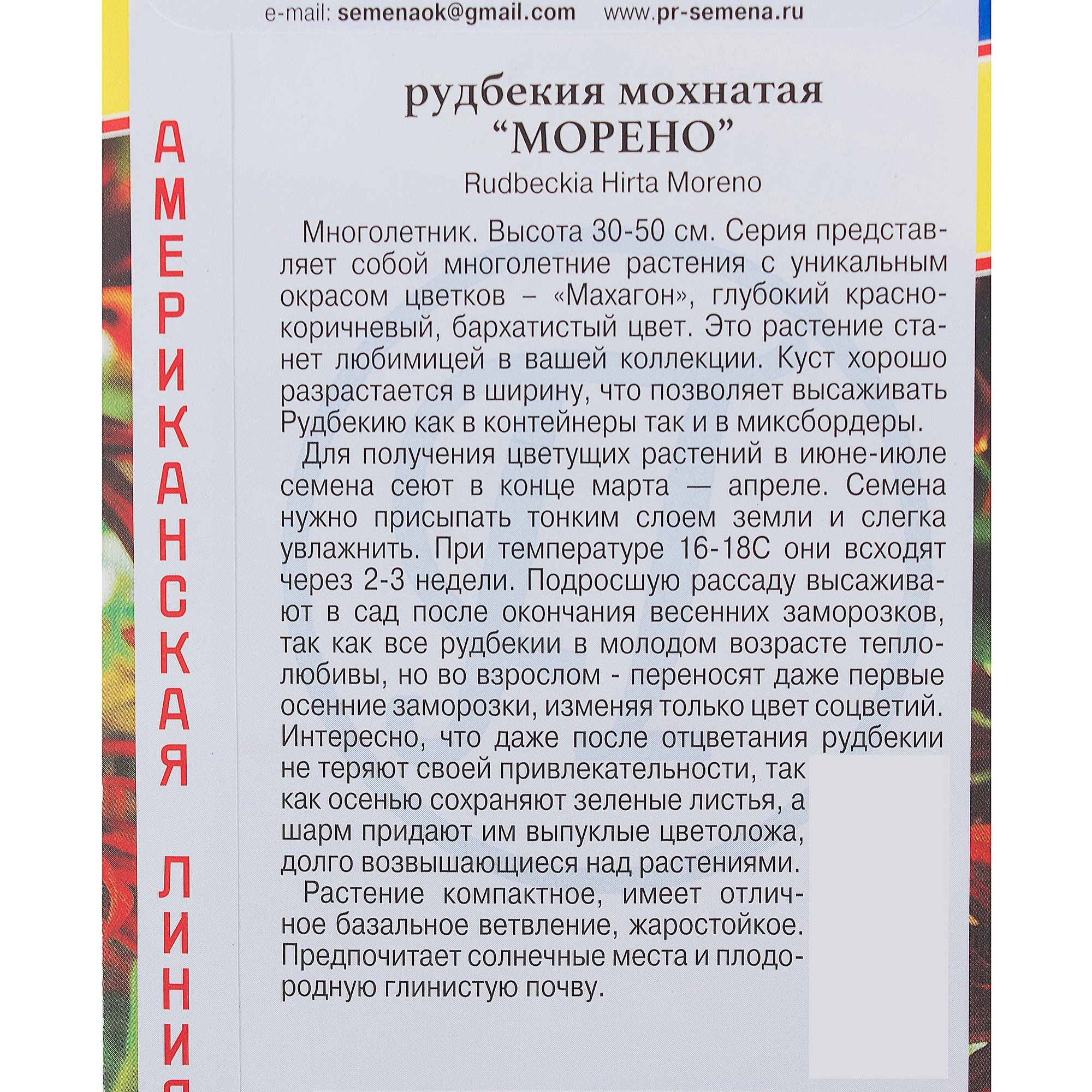 17301483 Рудбекия мохнатая «Морено» Santreyd  - Вид №2