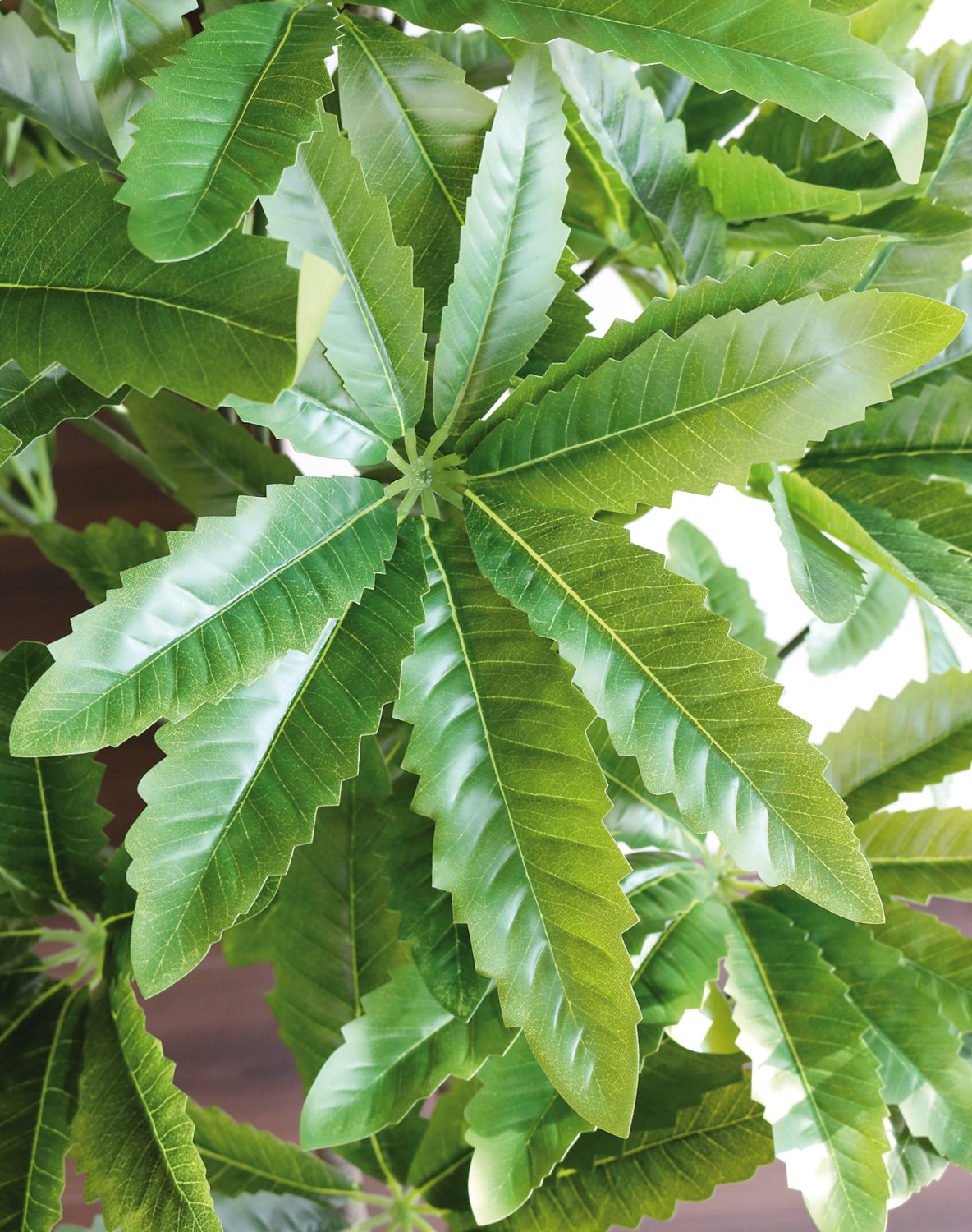 5481 883 a3 Искусственная шефлера, горшок, 160 см, зеленый H-andreas  - Вид №6