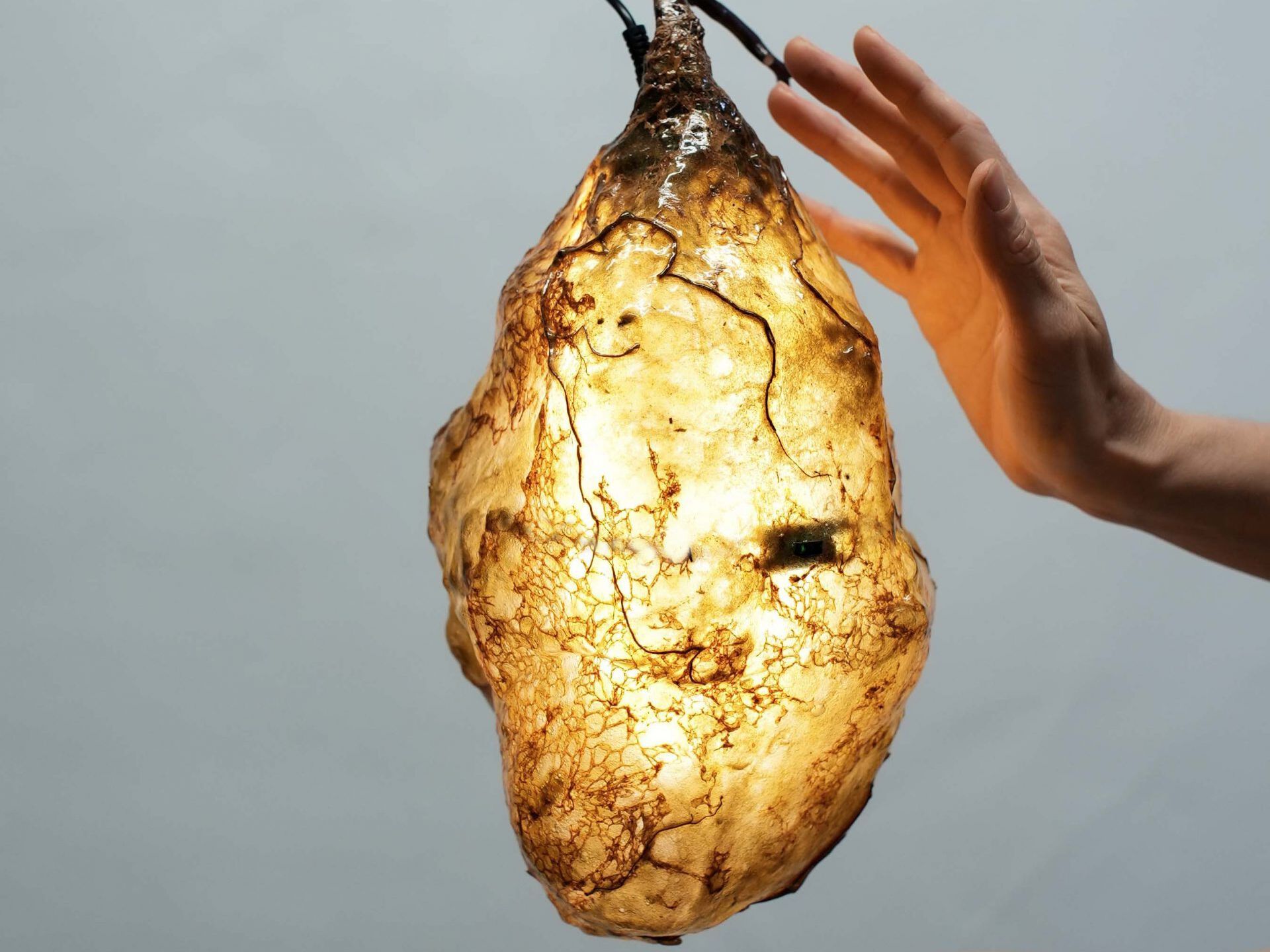 Яркая скульптура LO Contemporary THE HIVE II ARCH-00053958